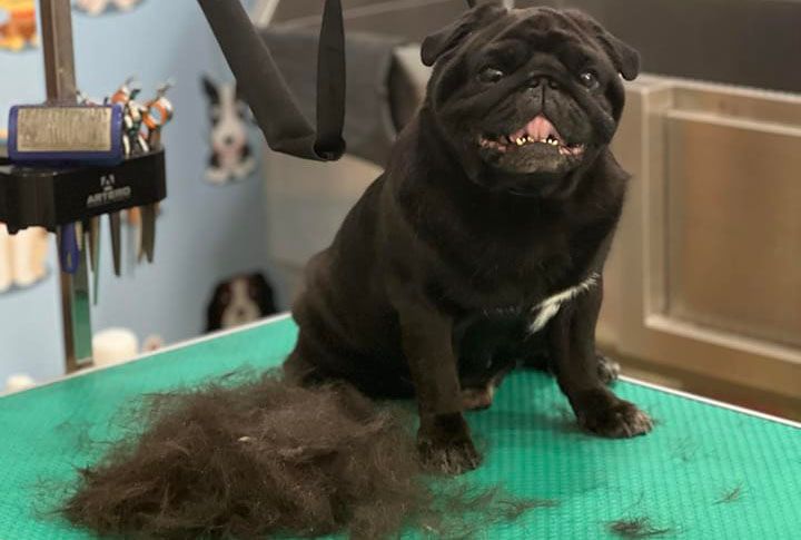 place-image-gallery-9