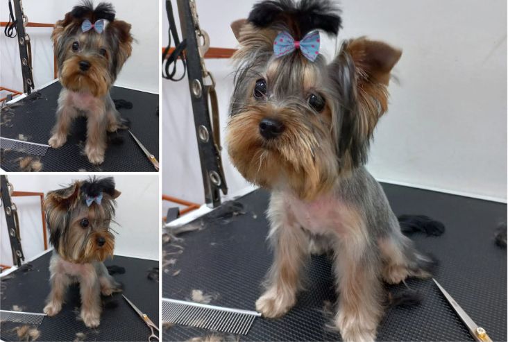 place-image-gallery-9