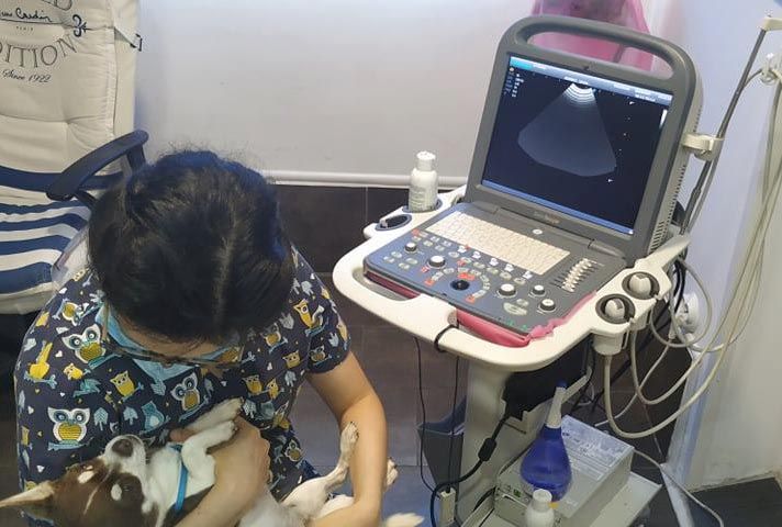 place-image-gallery-1