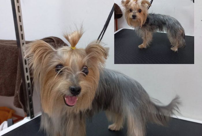 place-image-gallery-1