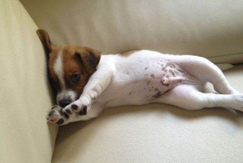 place-image-gallery-1