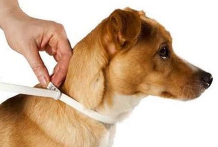 place-image-gallery-1