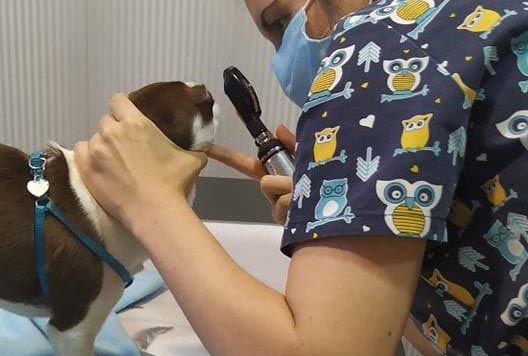 place-image-gallery-2