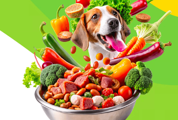 place-image-gallery-2