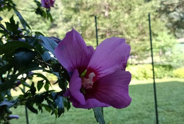 place-image-gallery-2