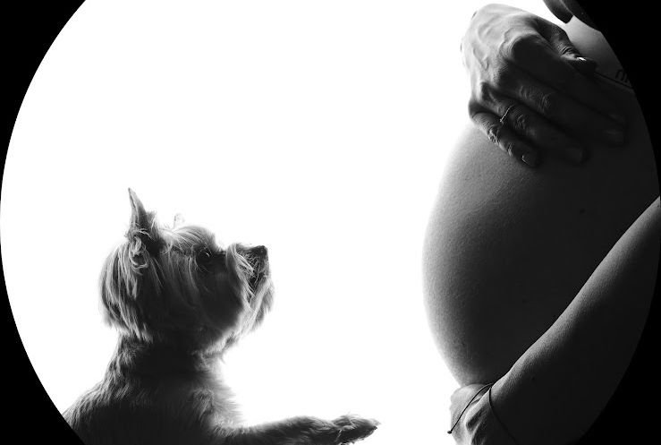 place-image-gallery-2