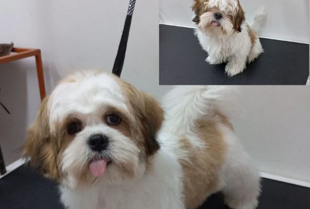 place-image-gallery-2