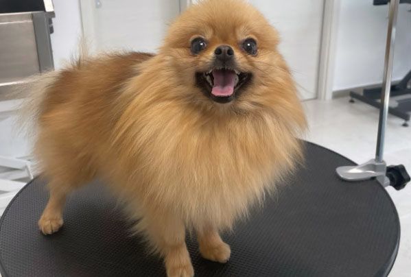 place-image-gallery-2