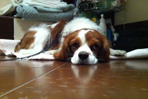 place-image-gallery-2