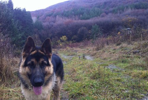 place-image-gallery-3