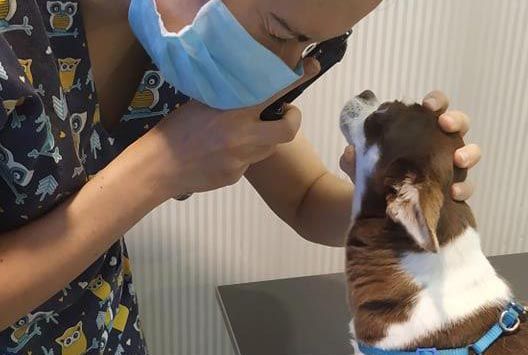 place-image-gallery-3