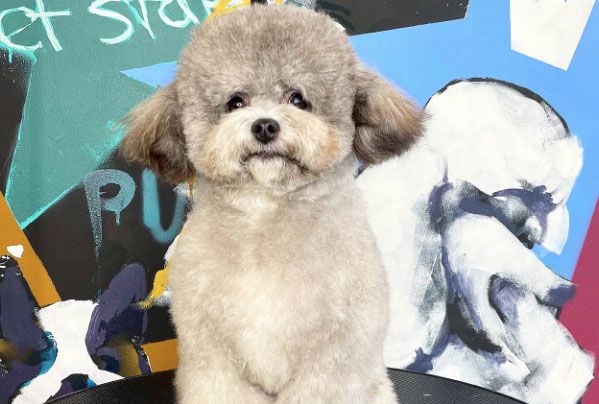 place-image-gallery-3