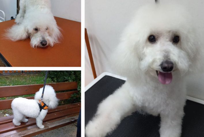 place-image-gallery-3