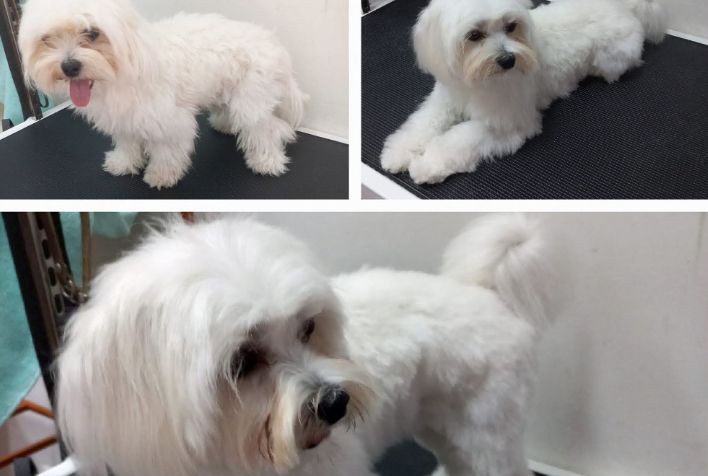 place-image-gallery-4