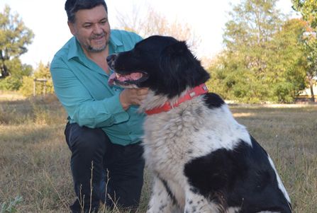 place-image-gallery-4