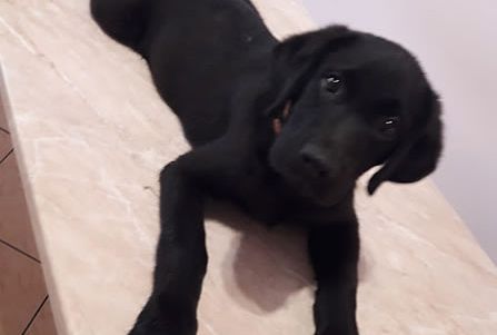 place-image-gallery-5