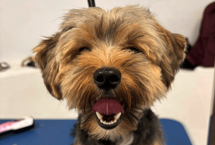 place-image-gallery-5