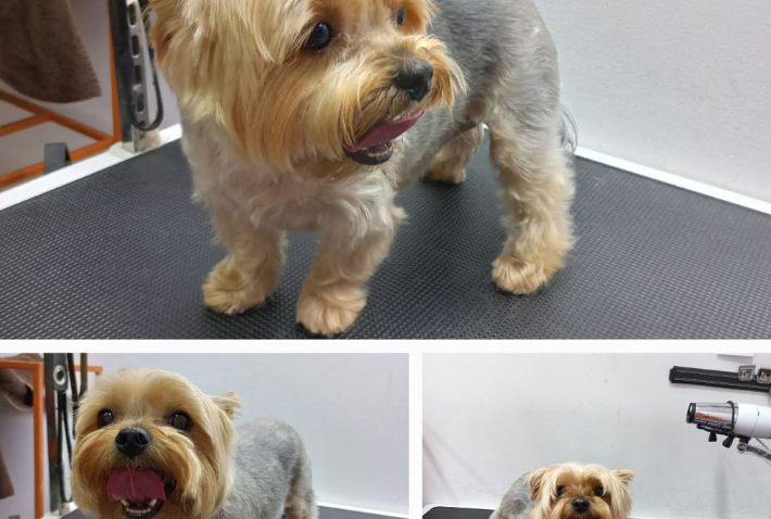 place-image-gallery-5