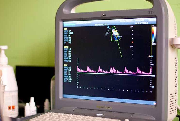 place-image-gallery-6