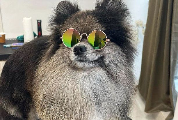 place-image-gallery-6