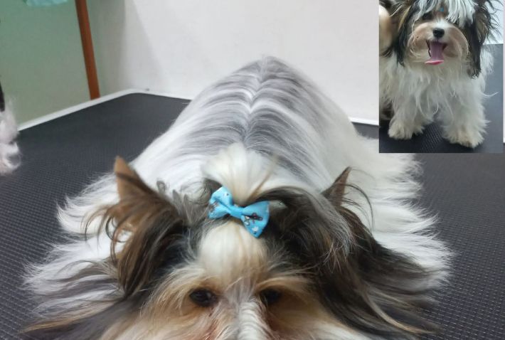 place-image-gallery-6