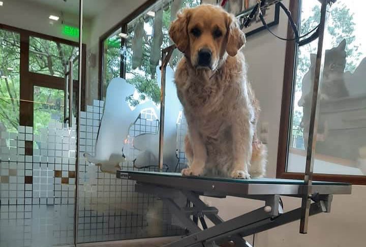 place-image-gallery-6