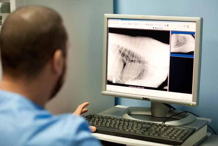 place-image-gallery-7