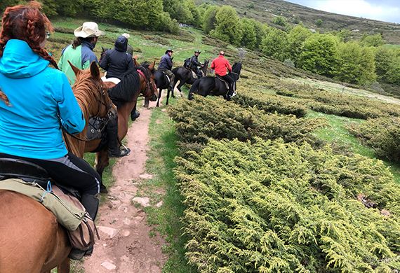 place-image-gallery-7