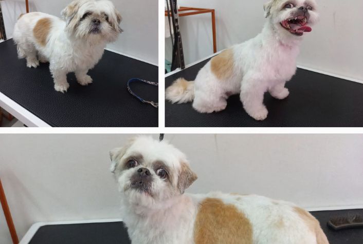 place-image-gallery-7