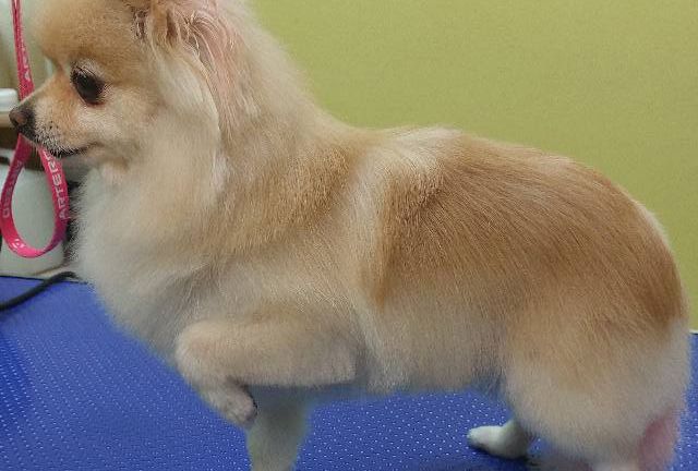 place-image-gallery-4