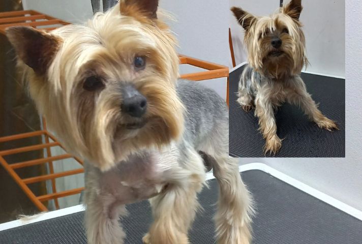 place-image-gallery-8