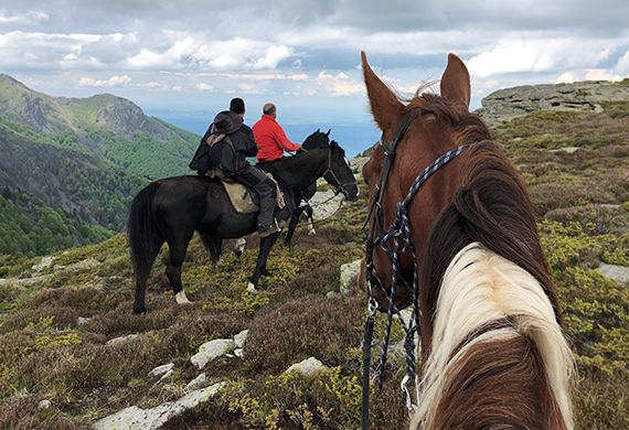 place-image-gallery-8