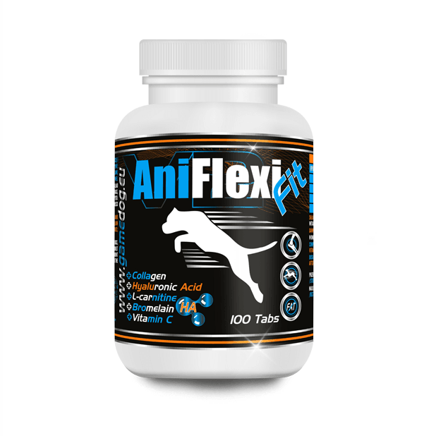 AniFlexi FIT V2T V2
