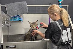 pet-valley-gruming-sofiya-vitosha-gallery-image-main