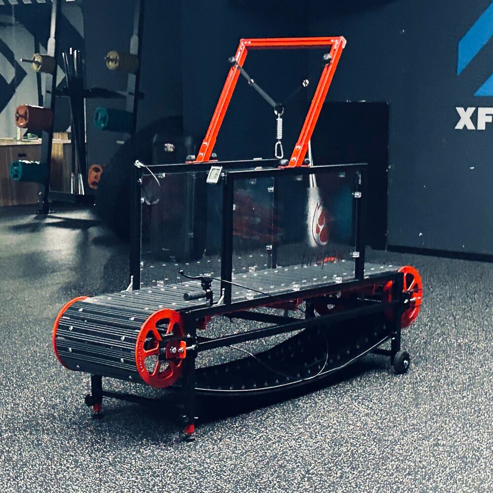 NEW Firepaw Phoenix Dog Treadmill Gen 10 – Slatmill размер М