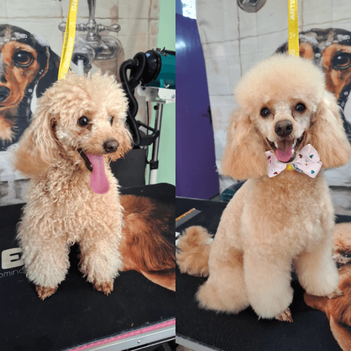 place-image-gallery-9