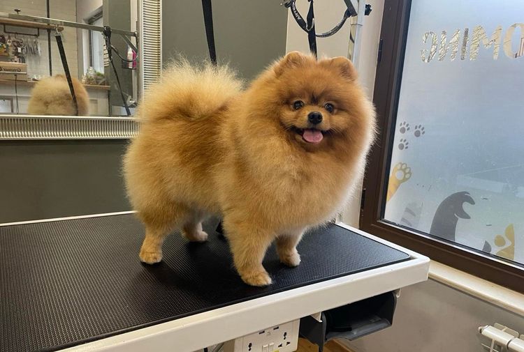 place-image-gallery-9