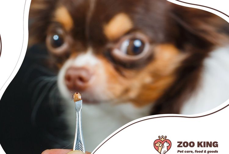 place-image-gallery-9