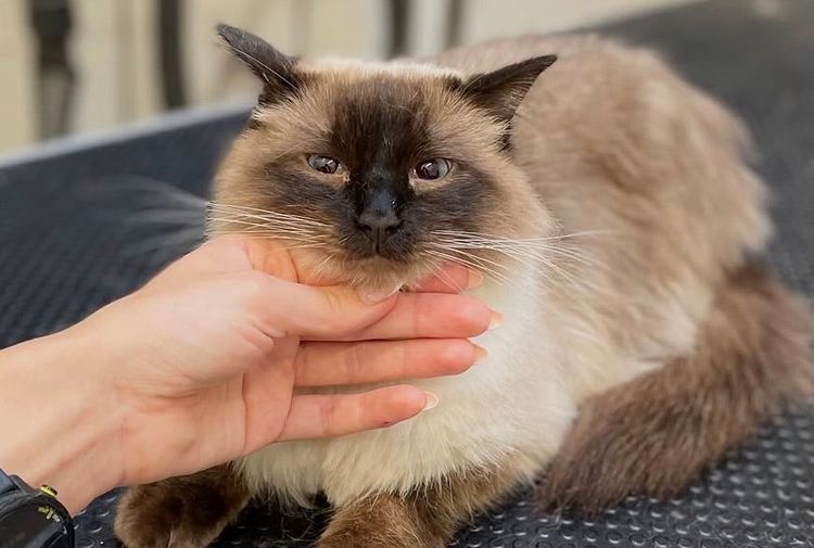 place-image-gallery-9