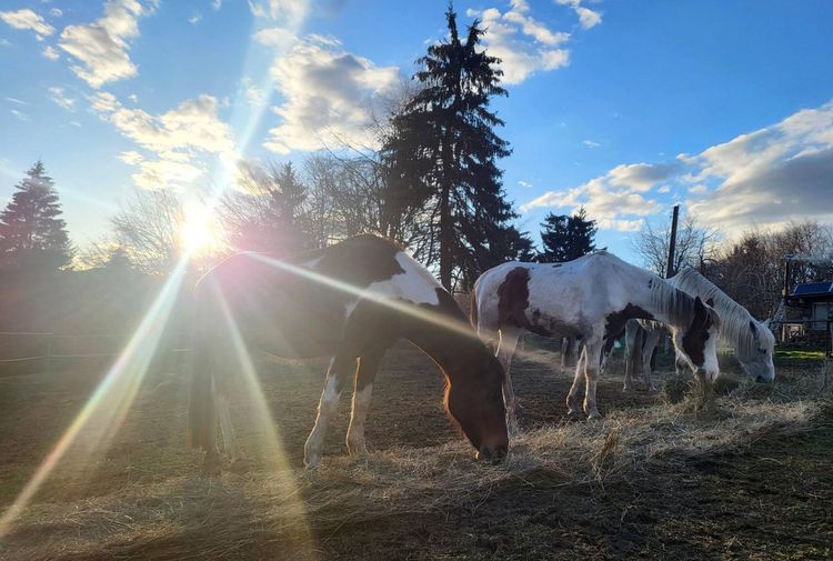 place-image-gallery-9