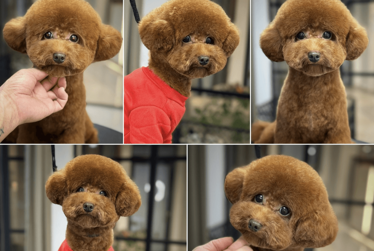 place-image-gallery-9