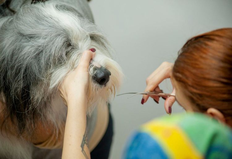 place-image-gallery-8