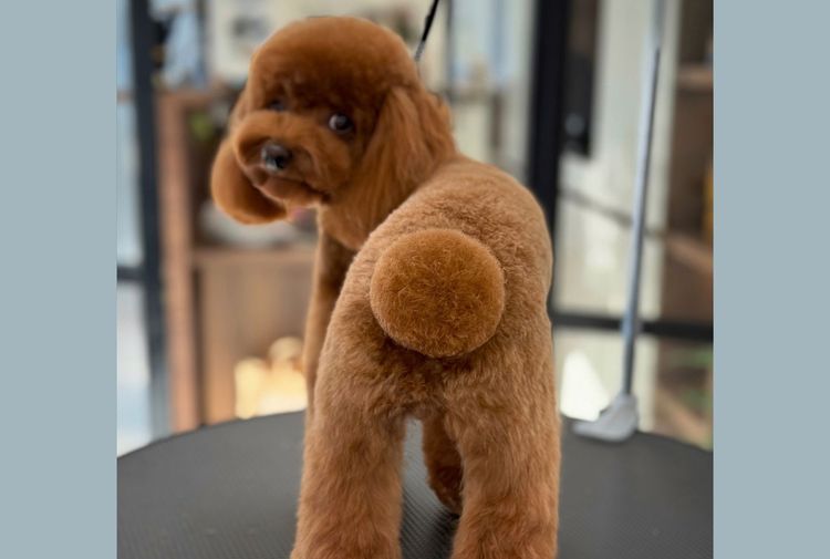 place-image-gallery-9