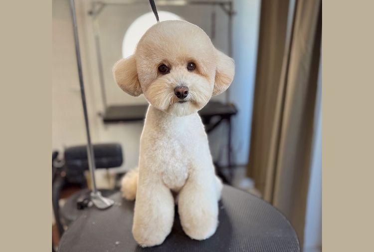 place-image-gallery-0