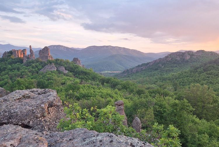 place-image-gallery-0