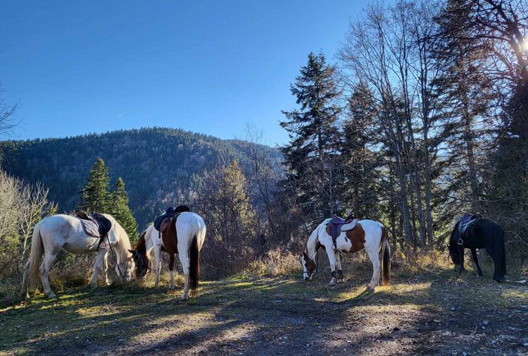 place-image-gallery-0