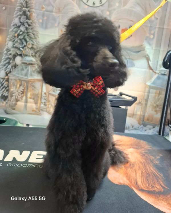 place-image-gallery-13