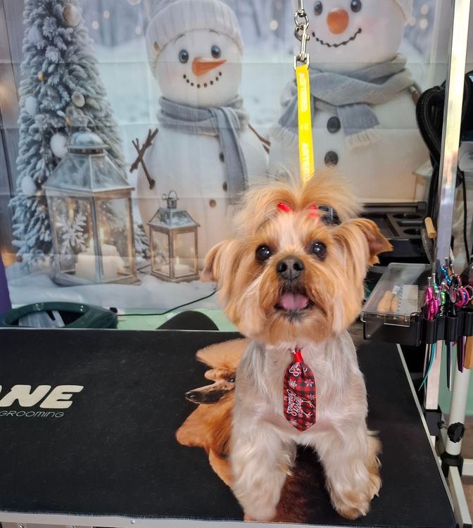 place-image-gallery-10