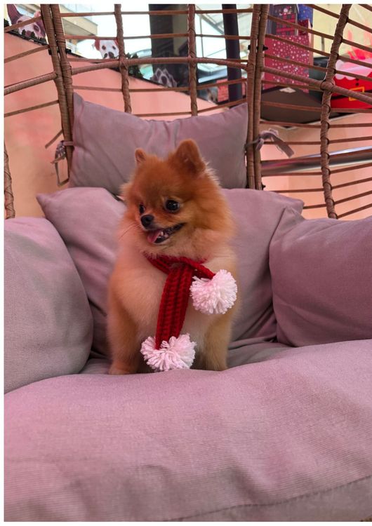 place-image-gallery-7