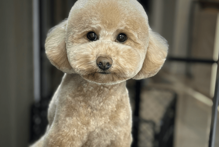 place-image-gallery-1